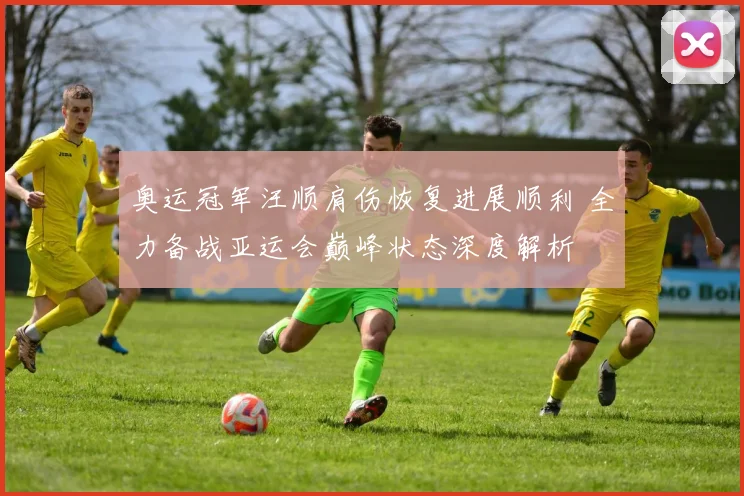 奥运冠军汪顺肩伤恢复进展顺利 全力备战亚运会巅峰状态深度解析