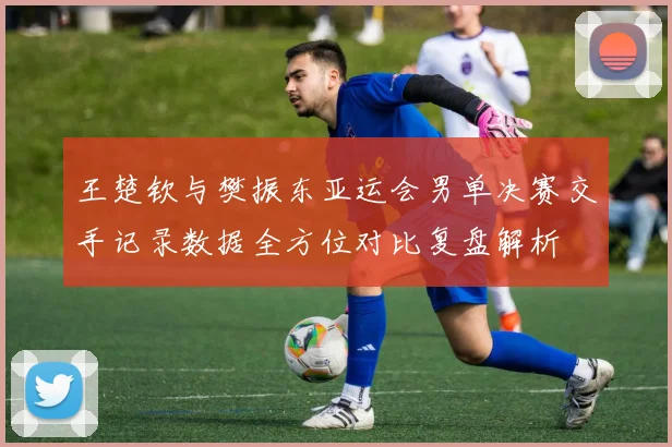 王楚钦与樊振东亚运会男单决赛交手记录数据全方位对比复盘解析