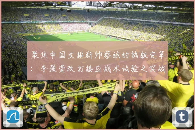 聚焦中国女排新帅蔡斌的执教变革：李盈莹改打接应战术试验之实战效果深度评估与展望