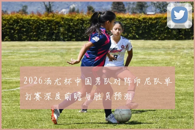 2026汤尤杯中国男队对阵印尼队单打赛深度前瞻与胜负预测