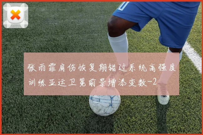 张雨霏肩伤恢复期错过系统高强度训练亚运卫冕前景增添变数